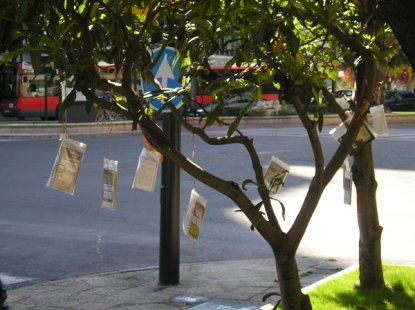 00ca42d4e7566e7ac0b67e606fbdc713